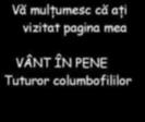 Vant in Pene