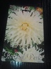 Photo023