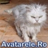 twww_avatarele_ro__1203165748_456847