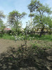 15 mai 2011 002
