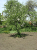 15 mai 2011 003