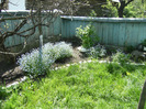 15 mai 2011 021