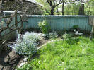 15 mai 2011 022