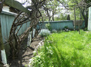 15 mai 2011 031