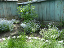 15 mai 2011 038