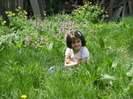 15 mai 2011 044