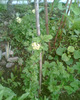 Picture 076