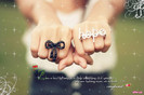 35535361_EZVOQJSQU