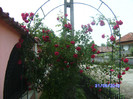 BILD5349