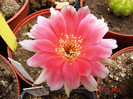 DSC09465