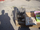 DSC09014