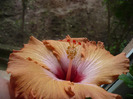 P1060873