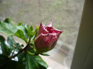 P1060876
