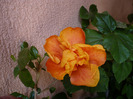 P1060913