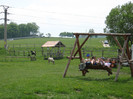 IMG_0872