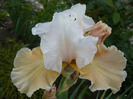 049