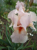 035