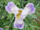 019