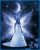 Fairy_Princess_by_Fantasy_Fellowship