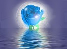 3D_Love_Rose_19