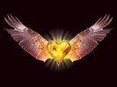Eagle_Heart