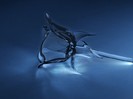 Glass-Rose-3D-Concept-Wallpaper