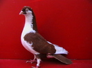 IMGA0228
