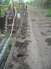 hectarul pregatit...pentru.............