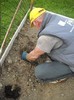 ..desfac rasadurile, le plantez....