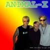 Animal X