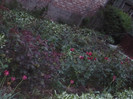 P1010514