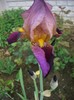 CIMG3532