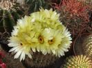 DSCF7642