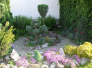 DSCF7665