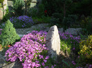 DSCF7660