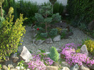 DSCF7664