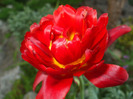 DSCF7655