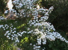 DSC02873