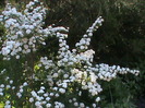 DSC02874