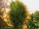 DSC02878