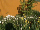 DSC02880