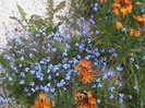 DSC02895