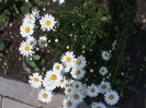 DSC02903