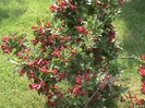 DSC02908