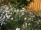DSC02920