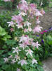 DSCN1159