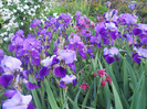 DSCN1161