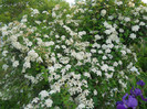 DSCN1162