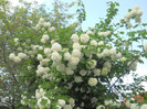 DSCN1163