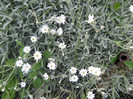 DSCN1164